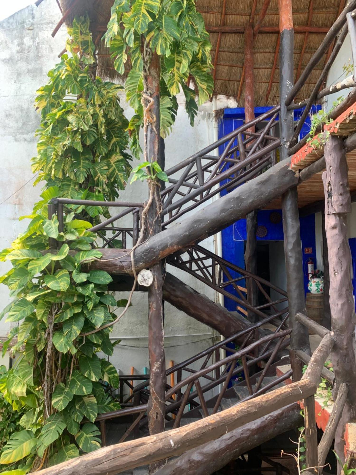 Casa Caribe Канкун Экстерьер фото Bamboo staircase