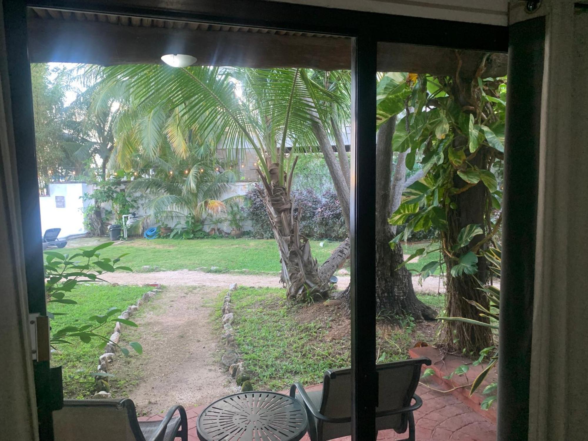 Casa Caribe Канкун Экстерьер фото View of the garden from the living room